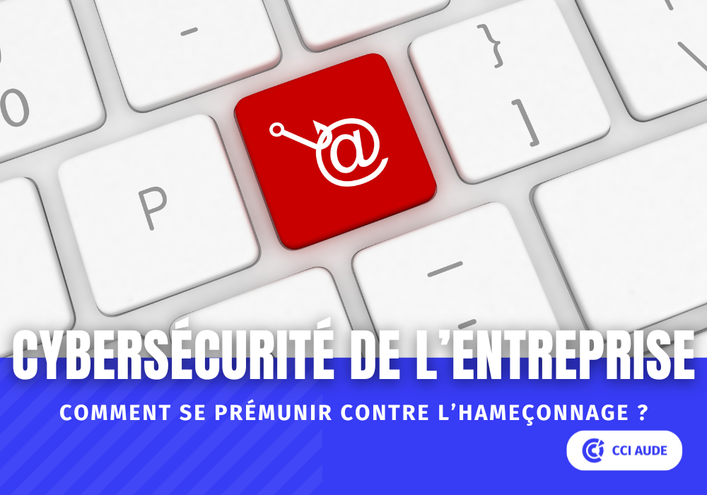 2025-02-cybersécurité-hameçonnage.png