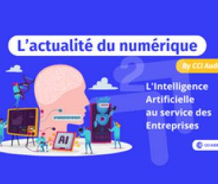 2023-12-actu-numerique-Article-2-206x155.png 