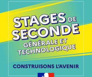 2024-stage-seconde-carré.jpg 