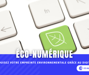 2025-02-numérique (2).png
