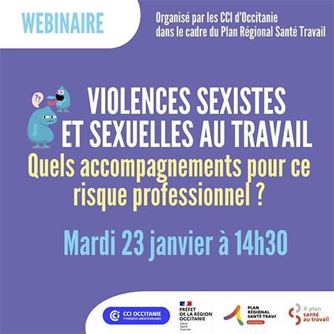 2024-01-23-webinaire-violences-sexistes